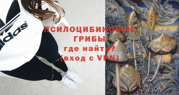 соль курить ск Горняк