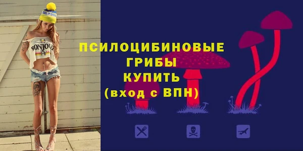 соль курить ск Горняк