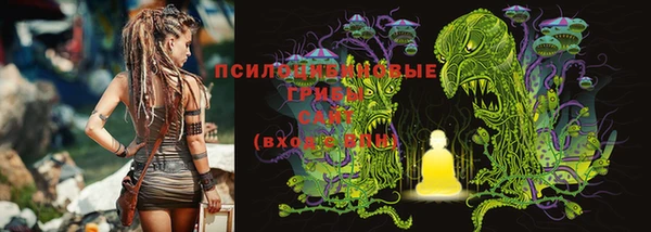 соль курить ск Горняк