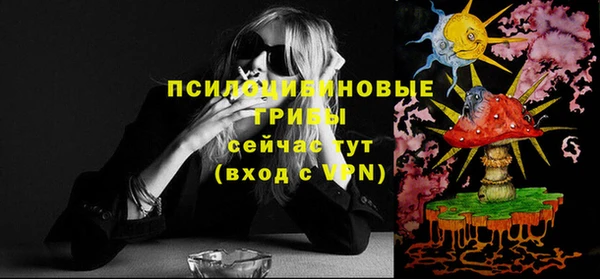 соль курить ск Горняк
