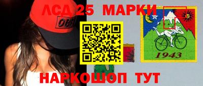 крисы Шахты