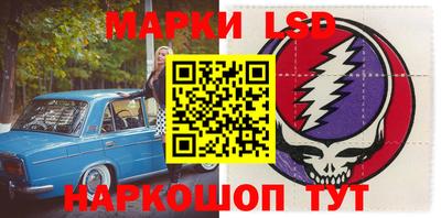 крисы Шахты