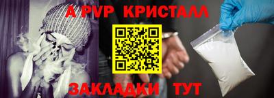 крисы Шахты