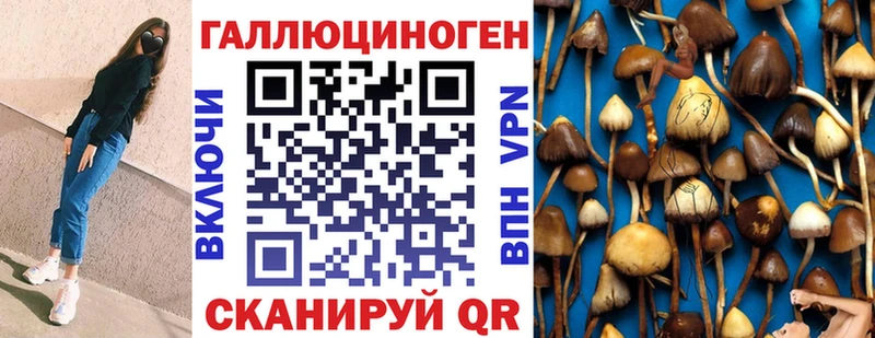 Псилоцибиновые грибы мухоморы  купить наркотики цена  Дюртюли 
