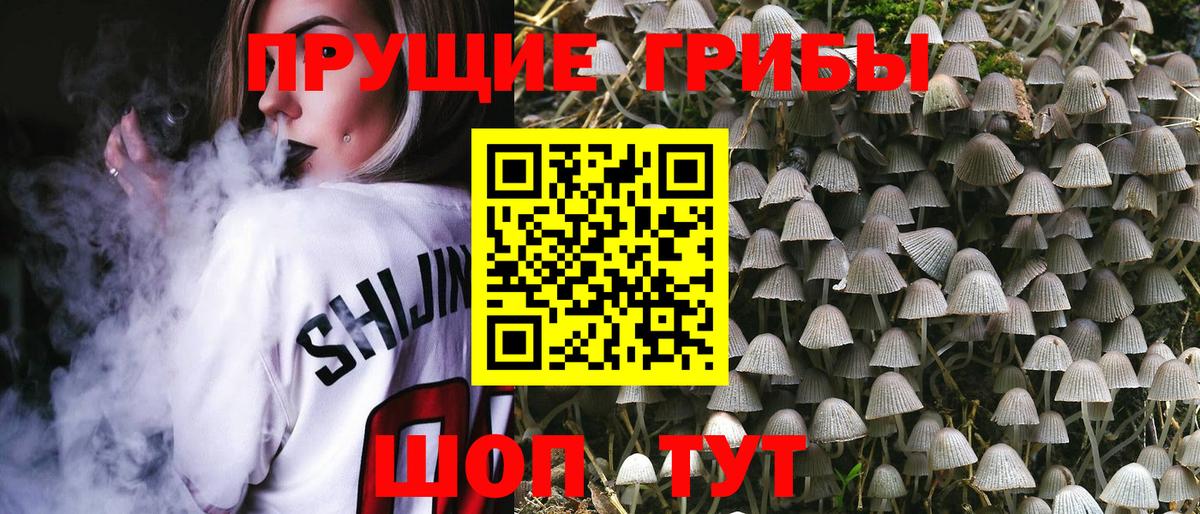 Галлюциногенные грибы Psilocybine cubensis Дюртюли