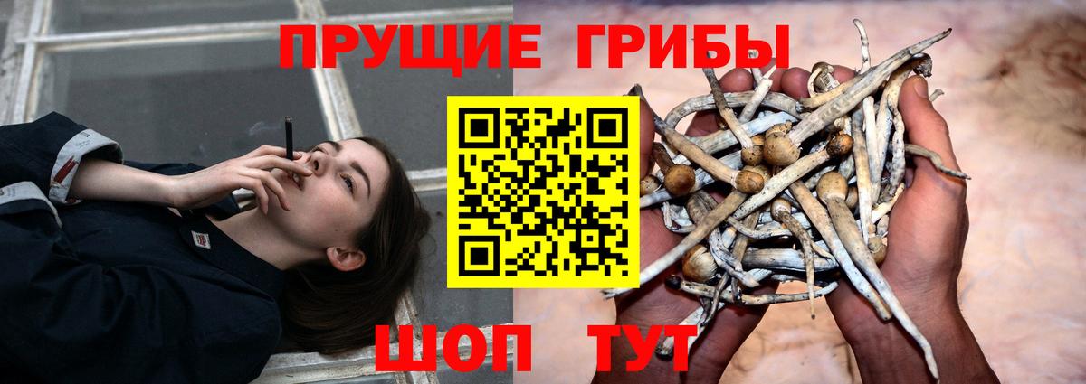 Дюртюли  Галлюциногенные грибы GOLDEN TEACHER  Вход с VPN 
